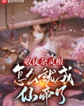 书名杂灵根