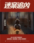 迷案追凶2