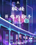 从极挑开始的歌手都有谁