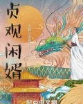 贞观闲婿王昊TXT下载