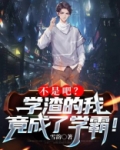 不是吧学渣的我竟成了学霸TXT小说下载