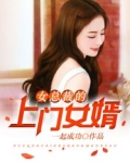 入赘王婿叶凡唐若雪小说