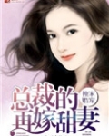 独家婚宠，总裁的再嫁甜妻