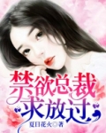 禁欲总裁，求放过