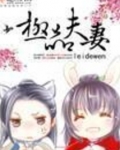 极品夫妻