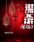 谋杀现场3