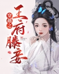穿越到王府当小妾的小说