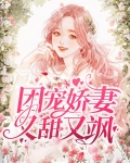 团宠娇妻又甜又飒免费阅读