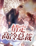 情定豪门恋上冷面boss全文免费阅读