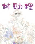 村助理是大学生村官吗