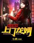 女总裁的上门龙婿龙隐全文免费阅读