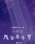 斗罗之九心琉璃塔
