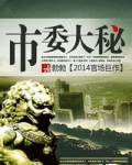 市委大秘