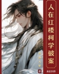 人在红楼，柯学破案