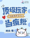 顶级玩家她在新手副本里当疯批