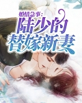 陆少的新婚暖婚