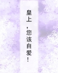 皇上你该选妃了什么小说