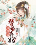 凤凰错:替嫁弃妃