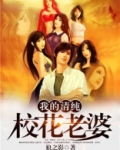 我的清纯校花老婆