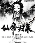 仙帝归来云青岩几个老婆