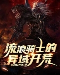 流浪骑士的异域开荒TXT下载