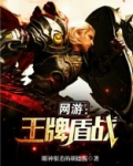 网游之王牌盾战