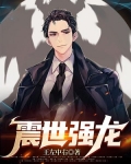 震世强龙小说
