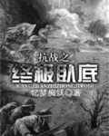 抗战之终极卧底TXT下载