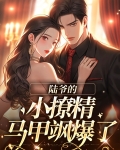陆爷的小逃妻惊艳全球了免费阅读