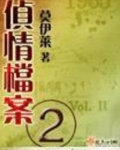 侦情档案二免费听书