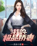 我的极品娇妻