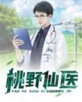 桃野仙医小说