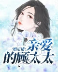 一婚定情:亲爱的顾太太免费阅读