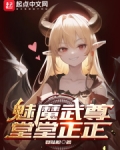 魅魔武尊，堂堂正正
