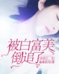 离婚后，我被白富美倒追了