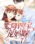 天降四宝宠妈咪