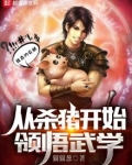 从杀猪开始领悟武学