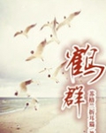 鹤群全文免费阅读