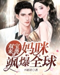 双宝来袭,妈咪飒爆全球 王昭君