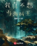 我真不想当海贼 小说