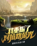 我重振了对抗路荣光小说