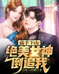 高手下山：绝美女神倒追我