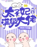 太子妃她是满级大佬 小说