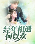 经年相遇何以欢免费阅读