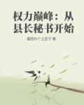 权力巅峰 小说