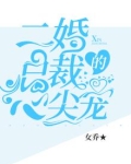 二婚总裁的心尖宠