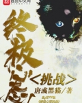 终极心态挑战 唐黑猫
