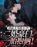 渣前夫骂我不孕？二婚豪门一胎抱俩！