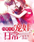 闪婚夫妻宠娃日常