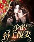 二少的二婚私妻全文免费阅读